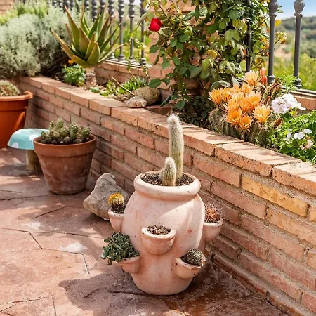 Сasa de vacaciones Cortijo La Solana *